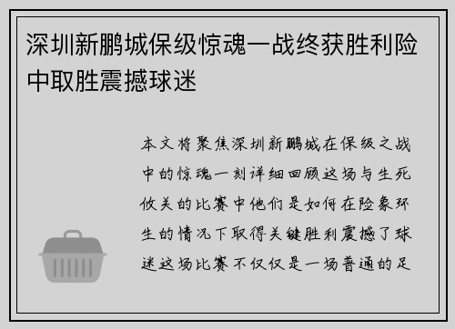 深圳新鹏城保级惊魂一战终获胜利险中取胜震撼球迷